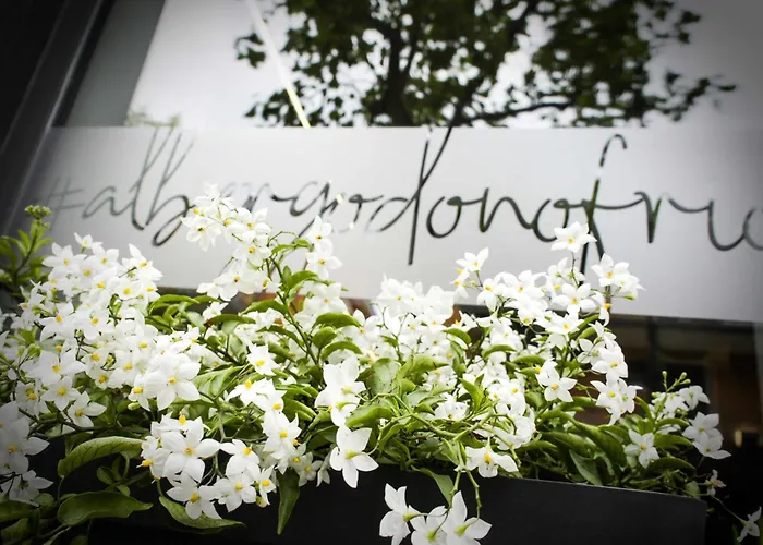 Albergo D'Onofrio Telese Terme photo