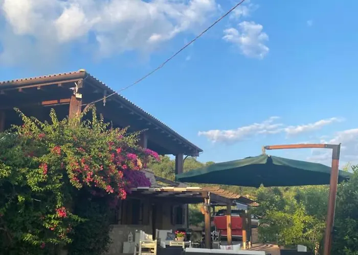 Palinuro - Le Canfore Casa Vacanze Vista Su Capo Palinuro fotoğrafı